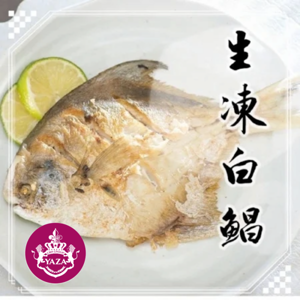 生凍白鯧