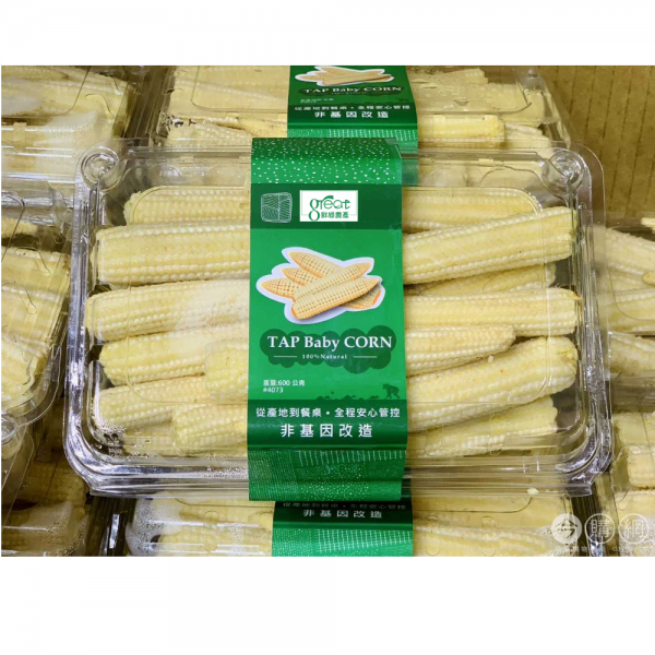 玉筍筍 600公克